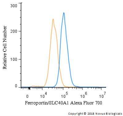 An intracellular stain was performed on HepG2 cells with Ferroportin/SLC40A1 Antibody [Alexa Fluor(R) 700] (blue) and a matched isotype control (orange). Cells were fixed with 4% PFA and then permeablized with 0.1% saponin. Cells were incubated in an antibody dilution of 10 ug/mL for 30 minutes at room temperature. Both antibodies were conjugated to Alexa Fluor 700.